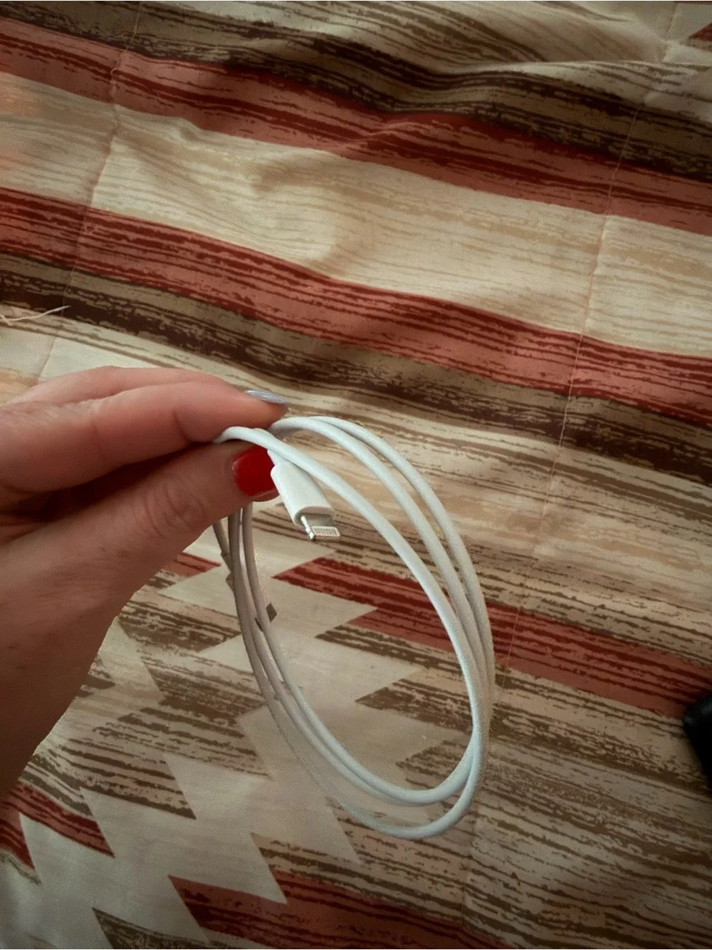 Brand new iPhone charger
